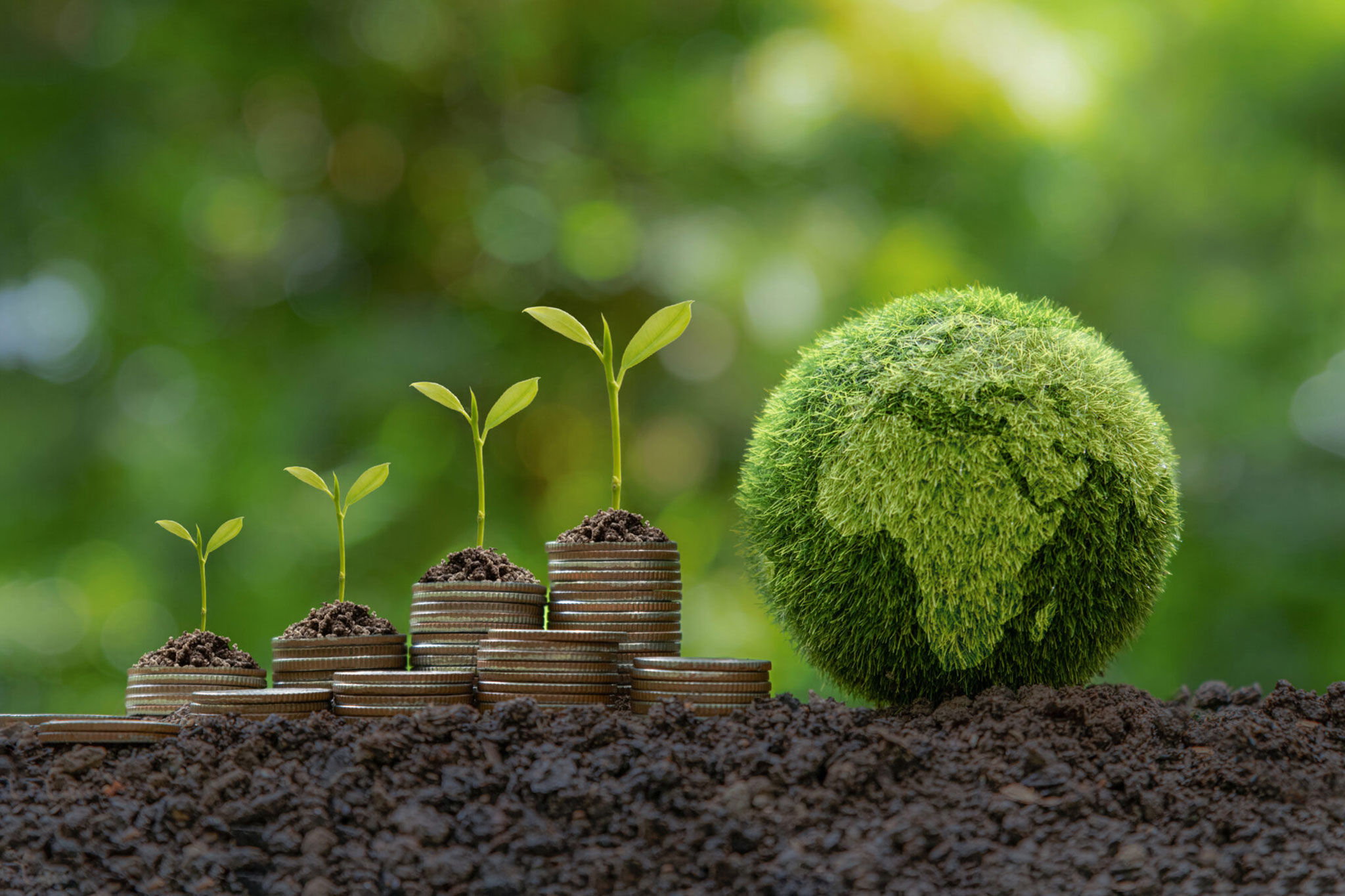 About EnviroAfrica Consulting